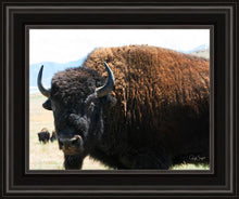 Load image into Gallery viewer, What Are You Looking At

