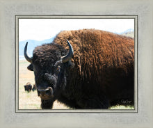 Load image into Gallery viewer, What Are You Looking At
