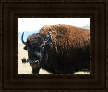 Load image into Gallery viewer, What Are You Looking At
