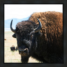 Load image into Gallery viewer, What Are You Looking At
