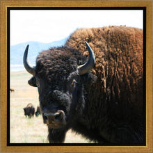 Load image into Gallery viewer, What Are You Looking At
