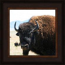 Load image into Gallery viewer, What Are You Looking At
