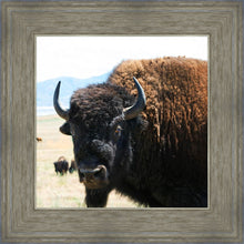 Load image into Gallery viewer, What Are You Looking At
