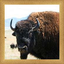 Load image into Gallery viewer, What Are You Looking At
