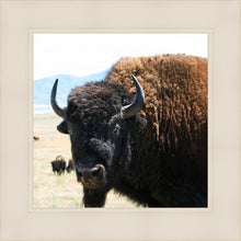 Load image into Gallery viewer, What Are You Looking At
