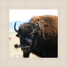 Load image into Gallery viewer, What Are You Looking At
