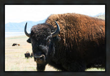 Load image into Gallery viewer, What Are You Looking At

