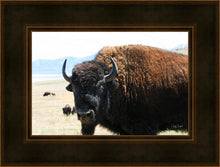 Load image into Gallery viewer, What Are You Looking At
