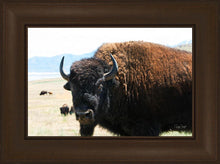 Load image into Gallery viewer, What Are You Looking At
