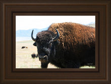 Load image into Gallery viewer, What Are You Looking At
