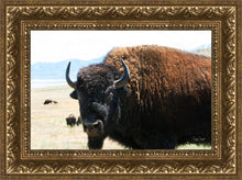 Load image into Gallery viewer, What Are You Looking At
