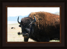 Load image into Gallery viewer, What Are You Looking At
