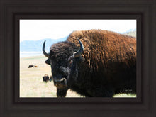 Load image into Gallery viewer, What Are You Looking At
