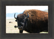 Load image into Gallery viewer, What Are You Looking At
