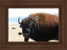 Load image into Gallery viewer, What Are You Looking At

