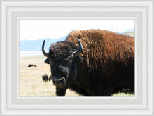 Load image into Gallery viewer, What Are You Looking At
