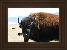 Load image into Gallery viewer, What Are You Looking At
