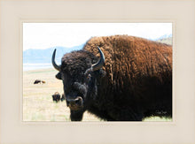 Load image into Gallery viewer, What Are You Looking At
