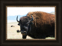 Load image into Gallery viewer, What Are You Looking At
