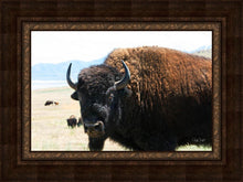 Load image into Gallery viewer, What Are You Looking At
