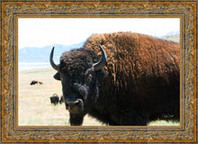 Load image into Gallery viewer, What Are You Looking At
