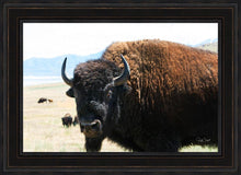 Load image into Gallery viewer, What Are You Looking At
