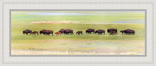 Load image into Gallery viewer, Migration
