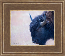 Load image into Gallery viewer, Coming Of Age
