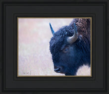 Load image into Gallery viewer, Coming Of Age
