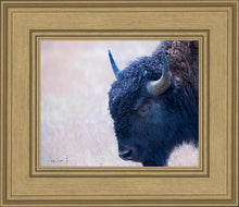 Load image into Gallery viewer, Coming Of Age
