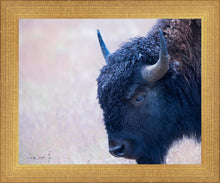 Load image into Gallery viewer, Coming Of Age
