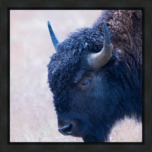 Load image into Gallery viewer, Coming Of Age
