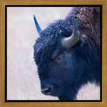 Load image into Gallery viewer, Coming Of Age
