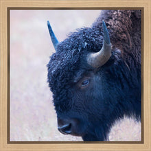 Load image into Gallery viewer, Coming Of Age

