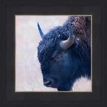 Load image into Gallery viewer, Coming Of Age
