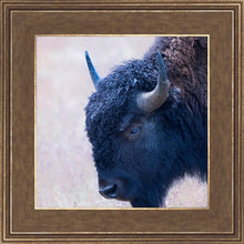 Load image into Gallery viewer, Coming Of Age
