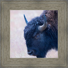 Load image into Gallery viewer, Coming Of Age
