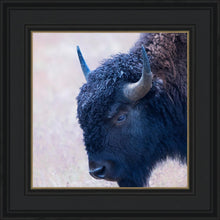 Load image into Gallery viewer, Coming Of Age
