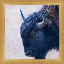 Load image into Gallery viewer, Coming Of Age
