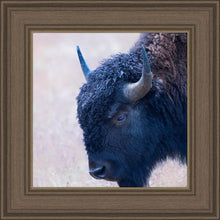 Load image into Gallery viewer, Coming Of Age
