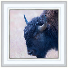 Load image into Gallery viewer, Coming Of Age
