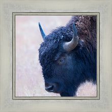 Load image into Gallery viewer, Coming Of Age
