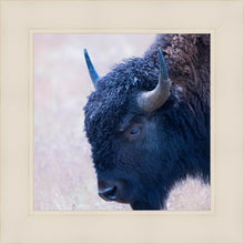 Load image into Gallery viewer, Coming Of Age
