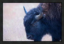 Load image into Gallery viewer, Coming Of Age
