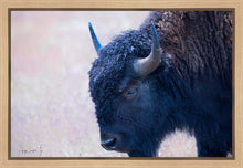 Load image into Gallery viewer, Coming Of Age
