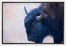 Load image into Gallery viewer, Coming Of Age
