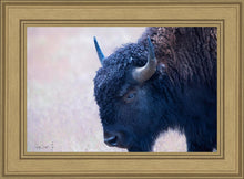 Load image into Gallery viewer, Coming Of Age
