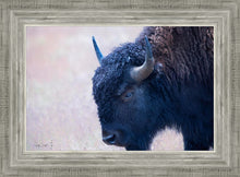 Load image into Gallery viewer, Coming Of Age

