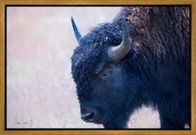 Load image into Gallery viewer, Coming Of Age
