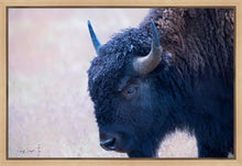 Load image into Gallery viewer, Coming Of Age
